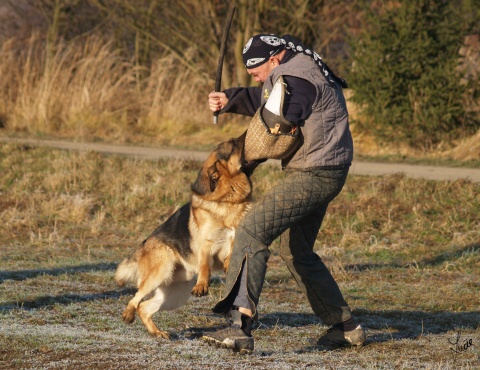 The christmas training 27.12.2006